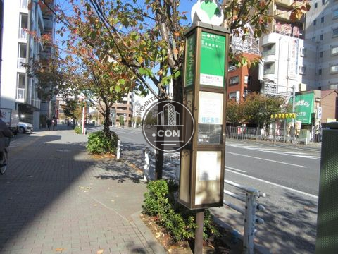 大通り