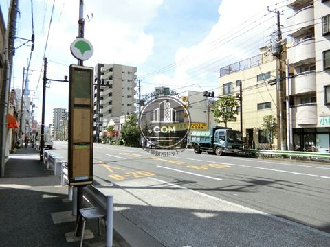大通り