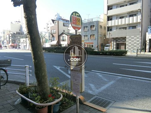 駅周辺