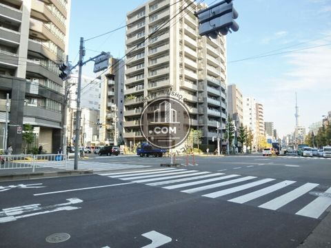 大通り