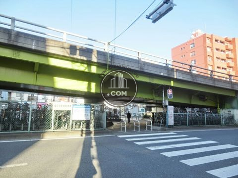 大通り