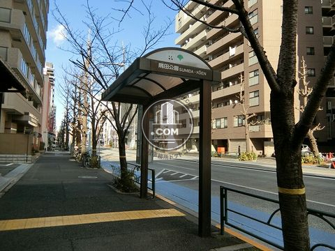 大通り