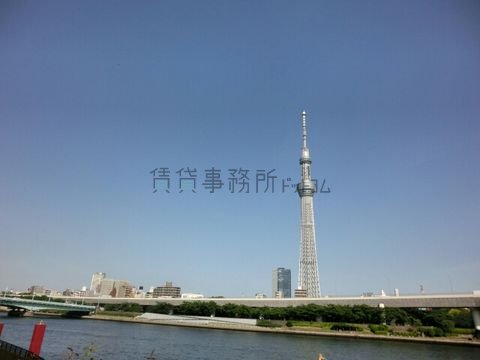 スカイツリーが一望です