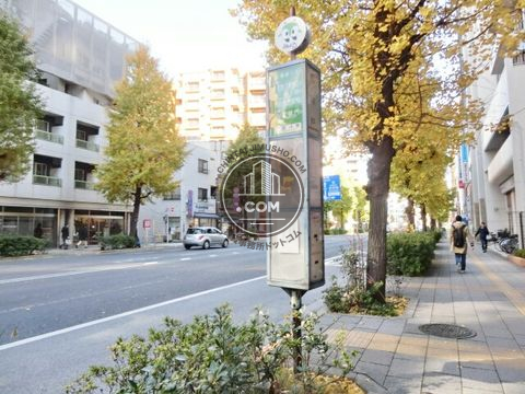 大通り