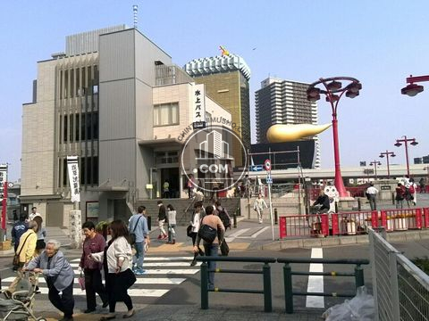 駅周辺