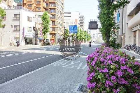大通り
