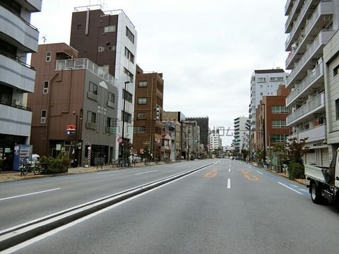 吉野通り