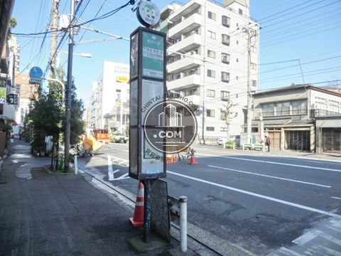 大通り