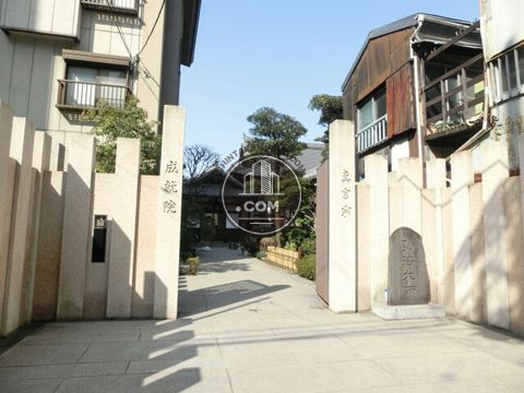 裏路地