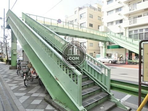 大通り