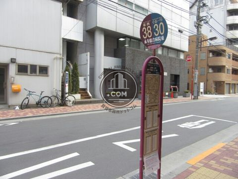大通り