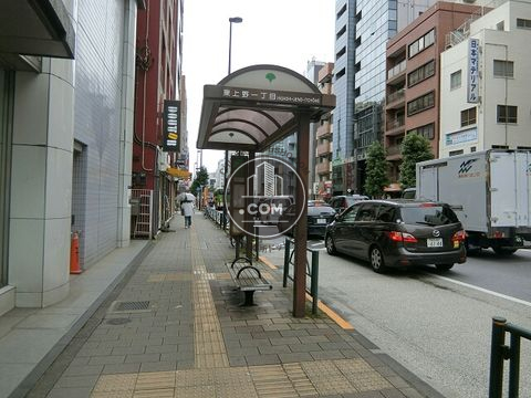 大通り