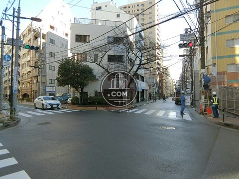 大通り