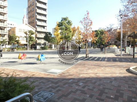 大通り