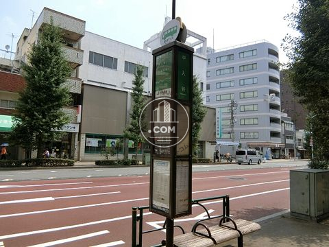 大通り