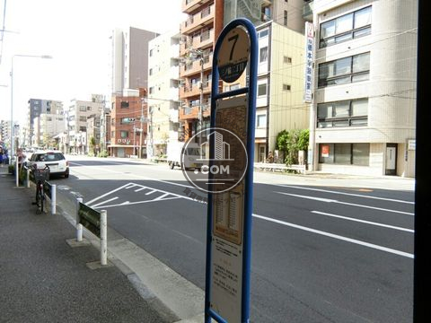 大通り