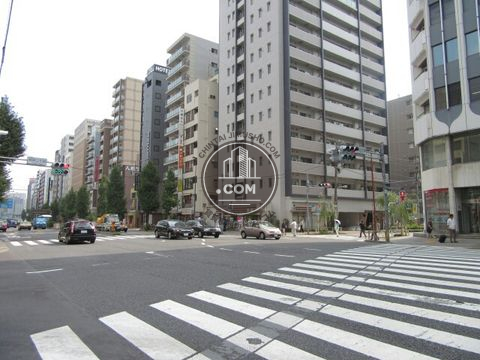 大通り