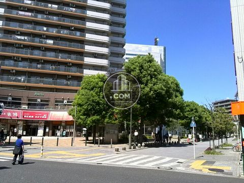 駅周辺