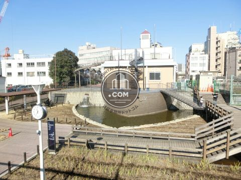 大通り