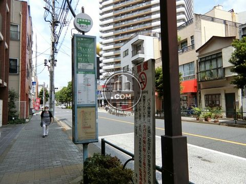 大通り