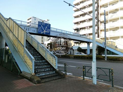 大通り