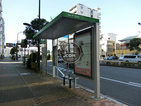 大通り
