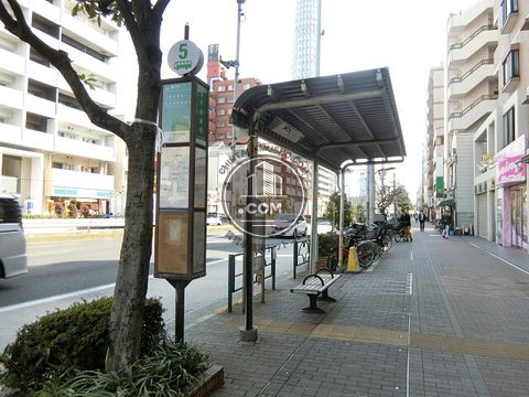 大通り