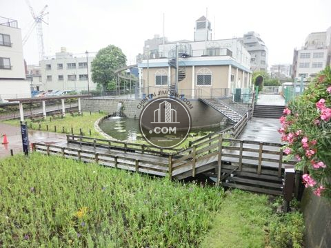 大通り