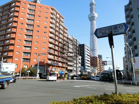 大通り