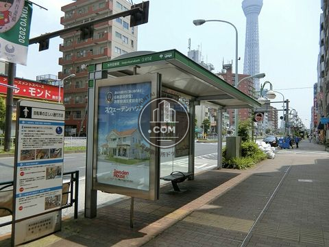 大通り