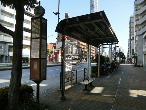大通り