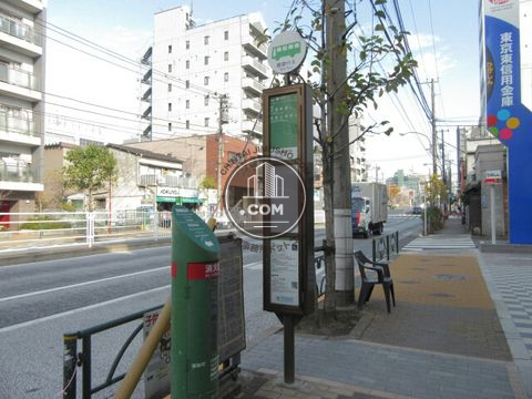 大通り