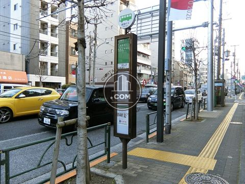 大通り