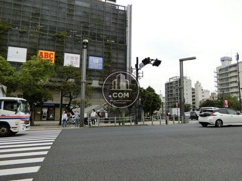 大通り