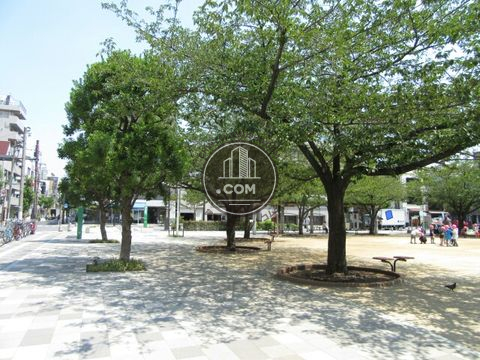 大通り
