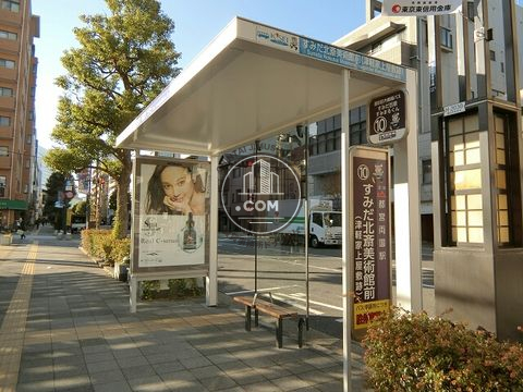 大通り