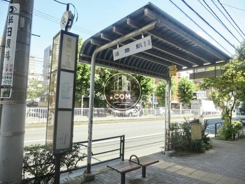 大通り