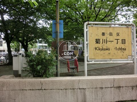 大通り
