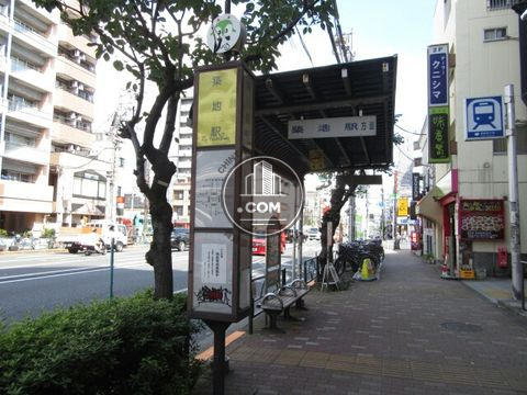 大通り