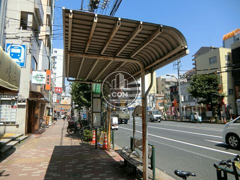 大通り