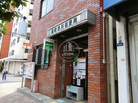 大通り
