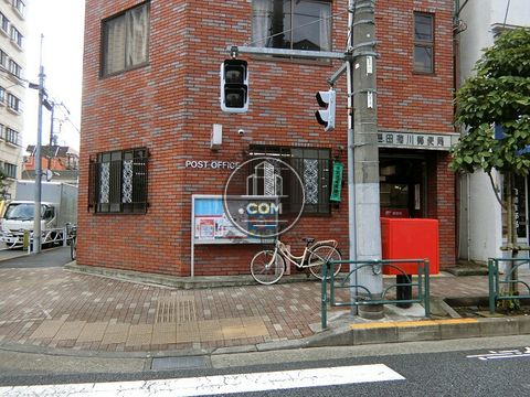 大通り