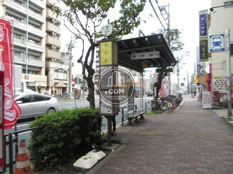 大通り