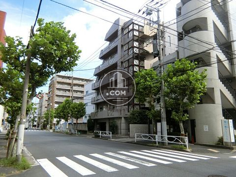 大通り