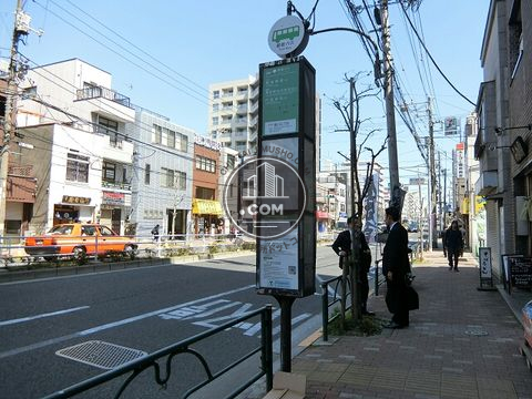 大通り