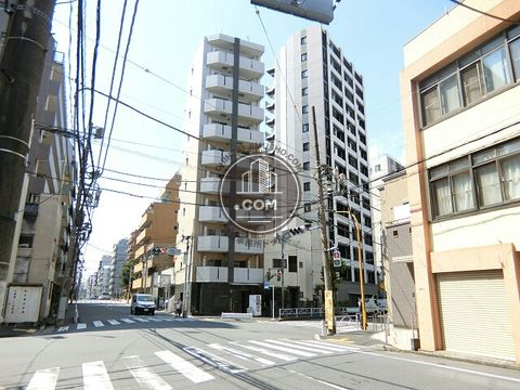 大通り