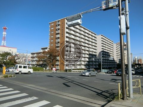 大通り