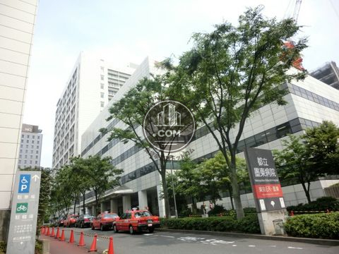 大通り