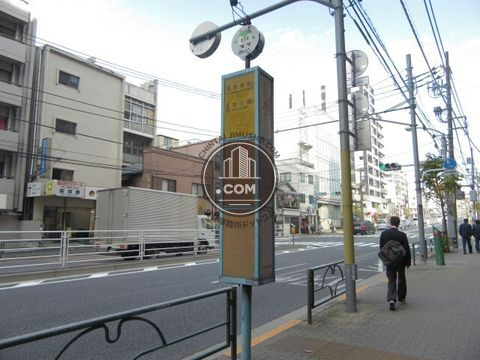 大通り