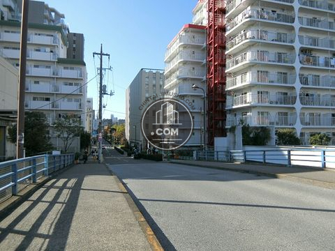 大通り